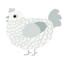 A white and silver chicken with a lace pattern