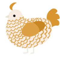 A cream and orange chicken with a lace pattern