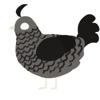 A grey and sable chicken with a lace pattern