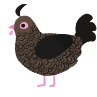 A bark and sable chicken with a double-lace pattern