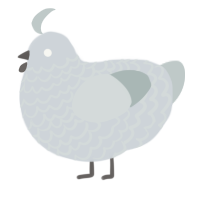 A mist and silver chicken with a lace pattern