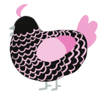 Silver Rose, a black and pink chicken with a lace pattern