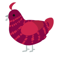 A maroon and crimson chicken with a bar pattern