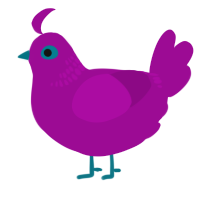 A plum chicken with a neck-band pattern