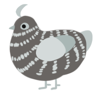 A grey and silver chicken with a bar pattern