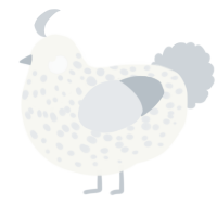 A white and mist chicken with a speckle pattern
