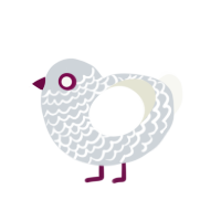 A mist and white chicken with a lace pattern