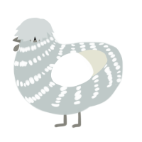 Cocaine, a silver and white chicken with a bar pattern