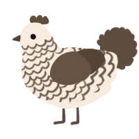 A cream and bark chicken with a lace pattern