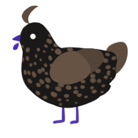 Black tea, a sable and bark chicken with a speckle pattern