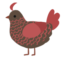 A bark and red chicken with a lace pattern