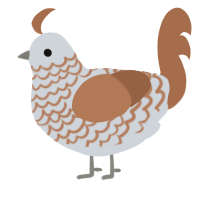 A mist and brown chicken with a lace pattern