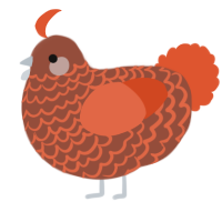 A russet and vermilion chicken with a lace pattern