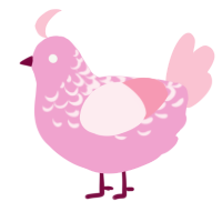 A pink and rose chicken with a half-lace pattern