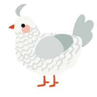 A white and silver chicken with a lace pattern