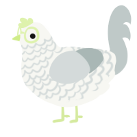 A white and silver chicken with a lace pattern