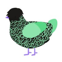 A sable and spring chicken with a double-lace pattern