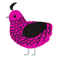 Scene, a fuchsia and sable chicken with a lace pattern