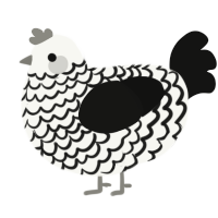 A white and black chicken with a lace pattern