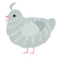 A silver chicken with a bar pattern