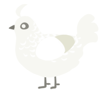 A white chicken with a half-lace pattern