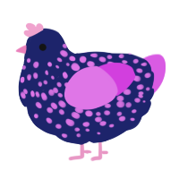 Purp, a navy and orchid chicken with a speckle pattern