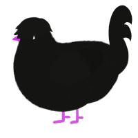 A black chicken with a lace pattern