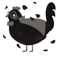 Akemi Homura, a sable and black chicken with a head pattern