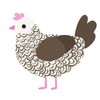 A white and bark chicken with a double-lace pattern