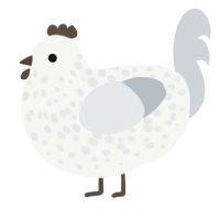 A white and mist chicken with a speckle pattern
