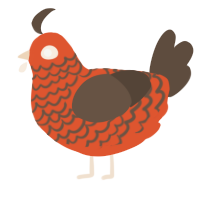 A vermilion and bark chicken with a lace pattern