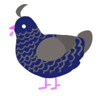 A navy and grey chicken with a lace pattern
