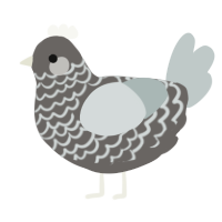 A grey and silver chicken with a lace pattern