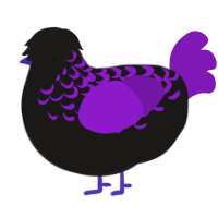 Lomario, a sable and violet chicken with a half-lace pattern