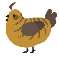 A gold and bark chicken with a half-bar pattern