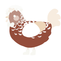 A russet and cream chicken with a half-lace pattern