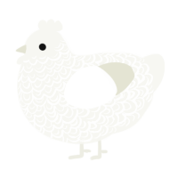 A white chicken with a double-lace pattern