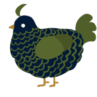 euchroea coelestis, a tumblr and olive chicken with a lace pattern