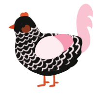 A black and rose chicken with a lace pattern