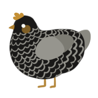 A sable and ash chicken with a lace pattern