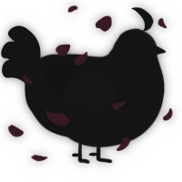 A black chicken