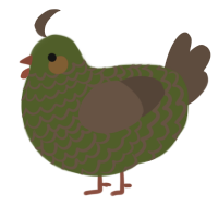 A olive and bark chicken with a lace pattern
