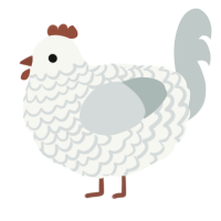 A white and silver chicken with a lace pattern