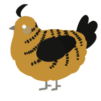 A gold and black chicken with a half-bar pattern