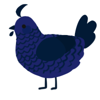 twin baby 2, a navy and tumblr chicken with a lace pattern
