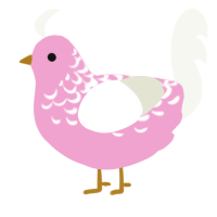 Salmon, a pink and white chicken with a half-lace pattern