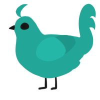 A turquoise chicken