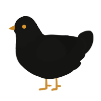 A black chicken with a head pattern