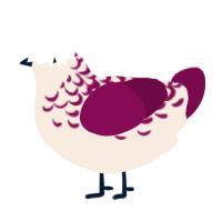 A cream and wine chicken with a half-lace pattern