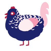 A navy and rose chicken with a half-lace pattern